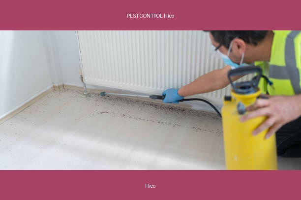 PEST CONTROL Hico